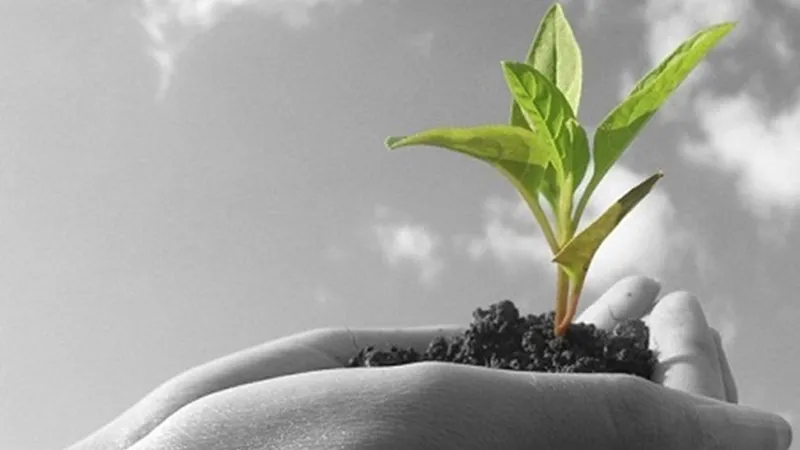 Les incubateurs internes d’entreprises