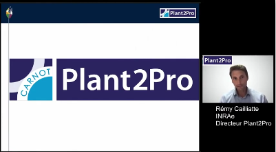 Rémy Cailliatte, Directeur Plant2Pro, INRAE